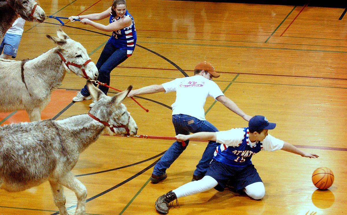 Donkey basketball rides into town