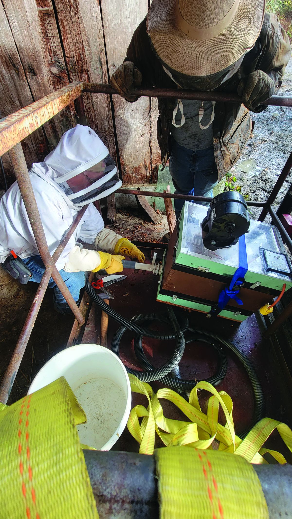 Bee hives moved from Smith River home