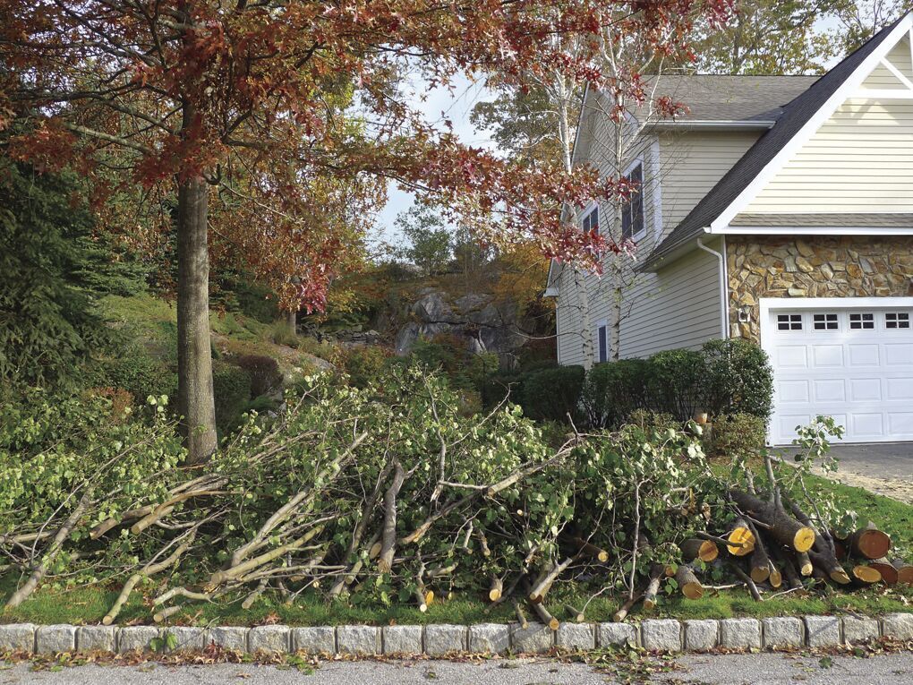 Yard Debris: Caution urged in doing away with debris