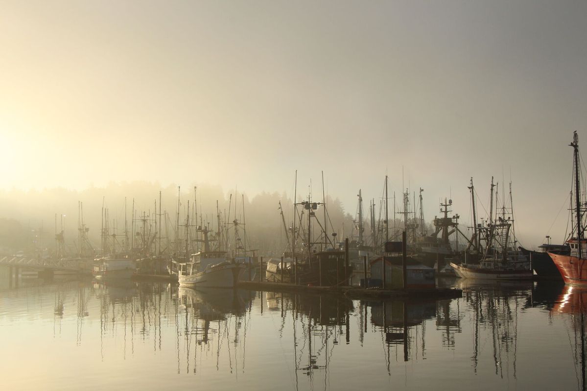 Huffman, Grijalva call for action to combat human rights abuses in seafood supply chain