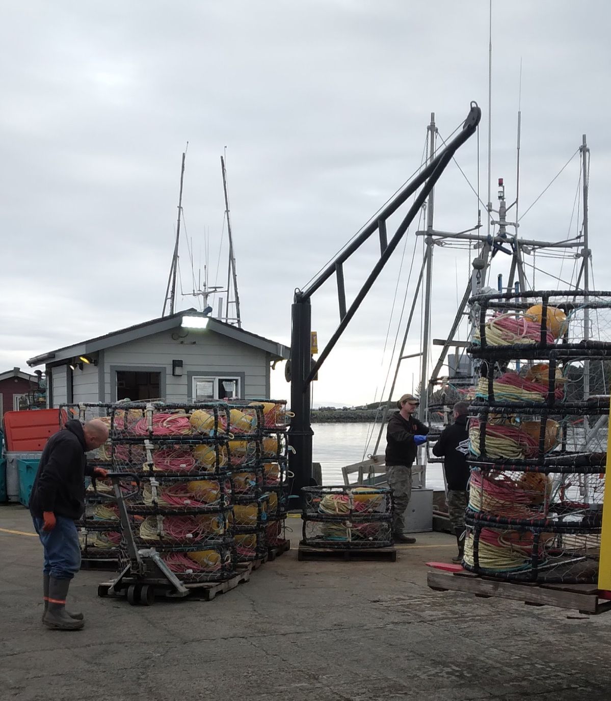 Dungeness Crab season begins January 5
