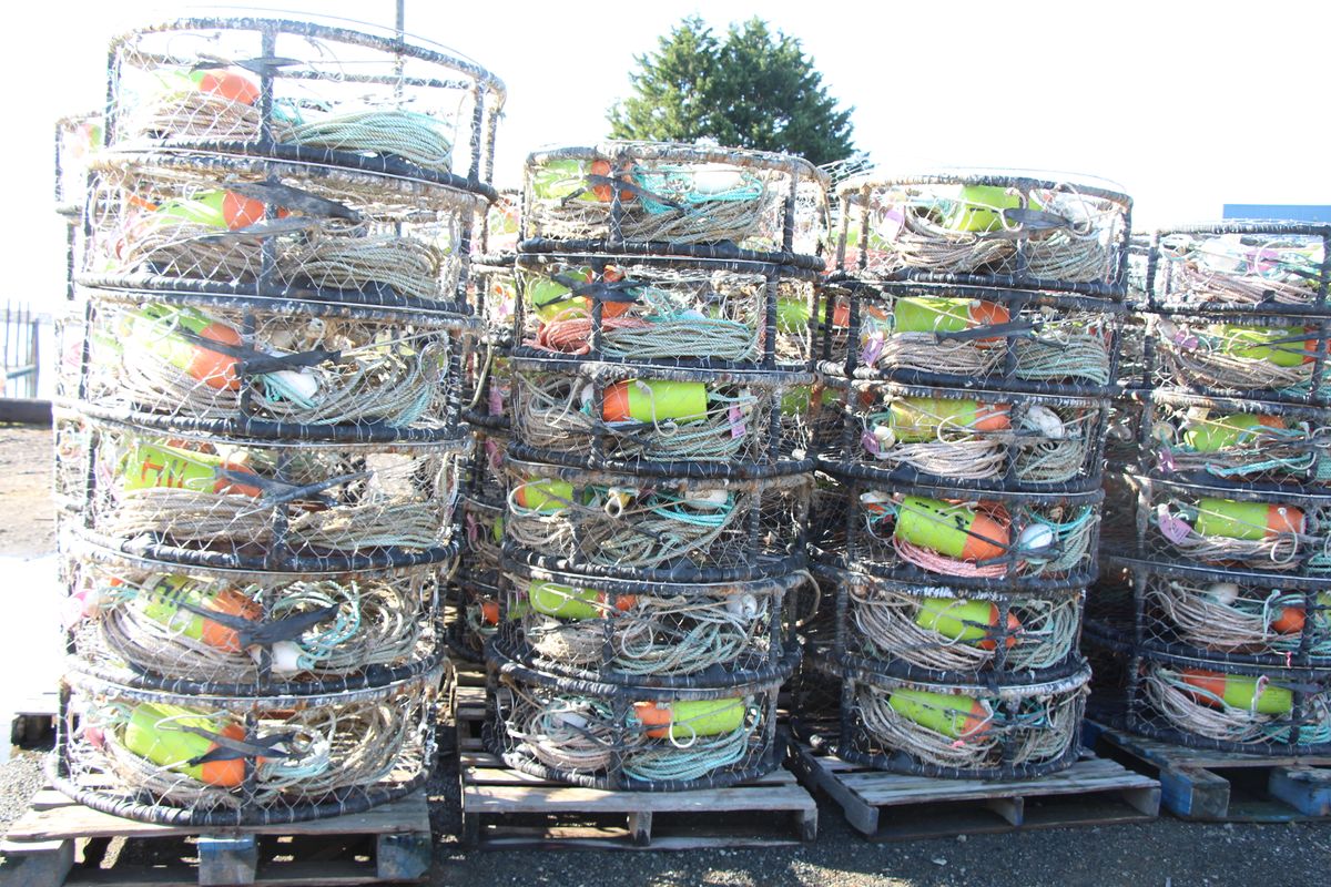 Another delay for California, Oregon commercial crabbing