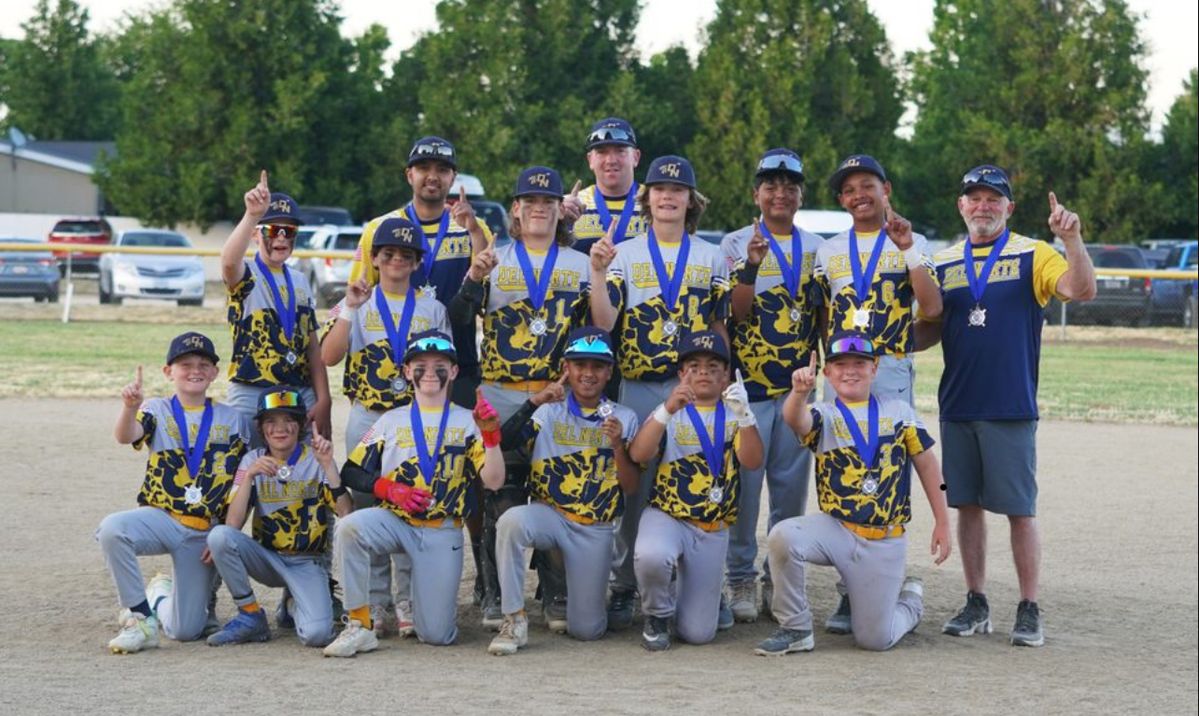 Del Norte Little League All Stars, 10-12 Baseball