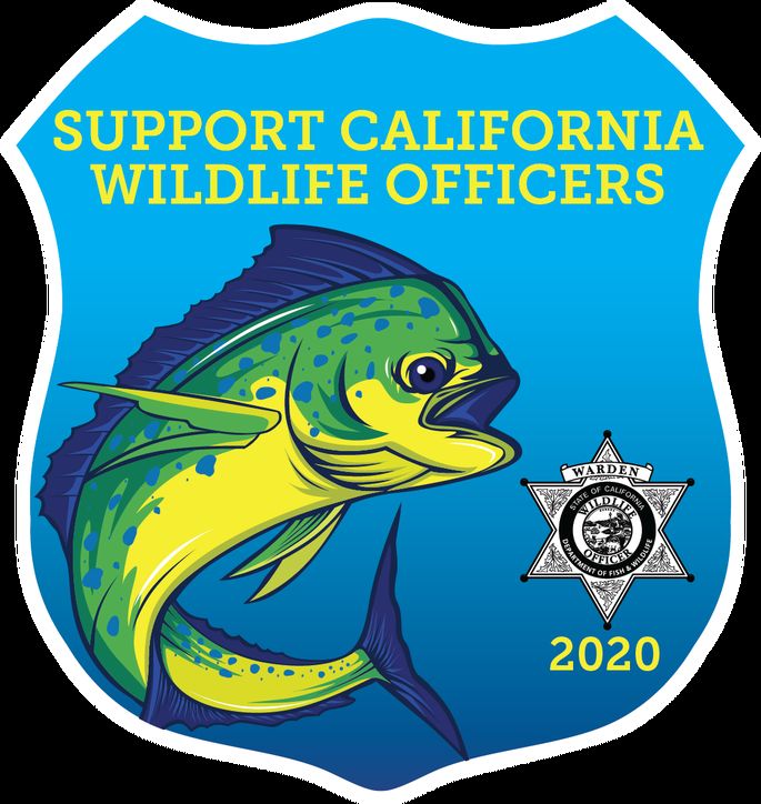 2020 Warden Stamp featuring marine fish now available for purchase