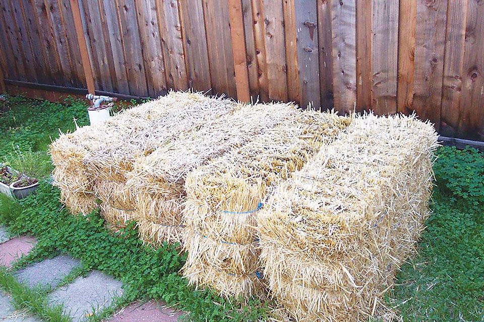Straw bale gardens work where others won’t