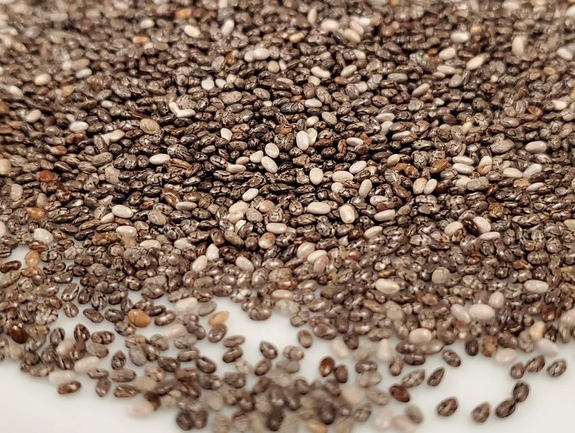 To Your Health: New study eyes chia seed for potential to improve human health