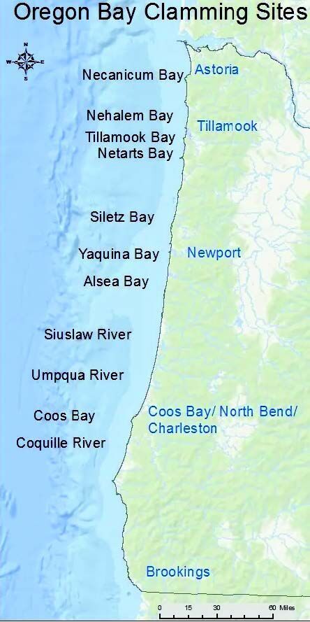 Best bets for clamming & crabbing on the Oregon Coast