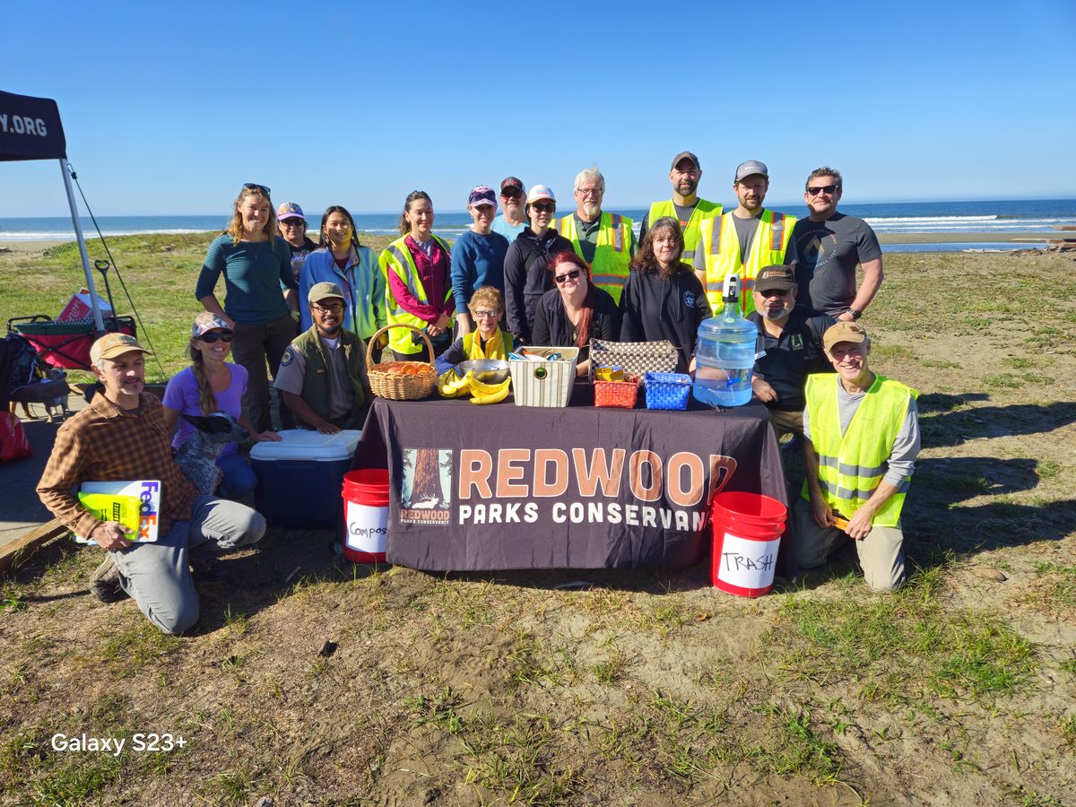 Volunteers Participate in Coastal Cleanup