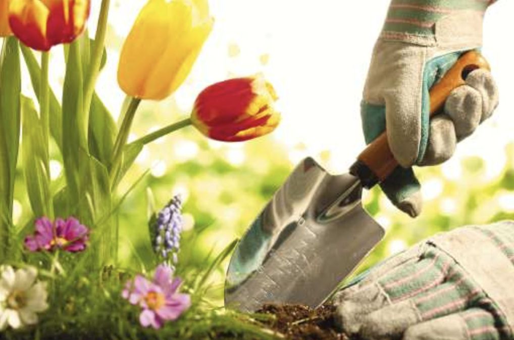 College of the Redwoods holds 33rd Plant Sale