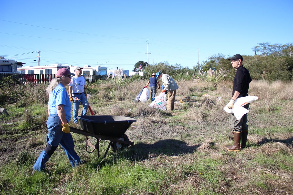 Cleanup rallies the most volunteers in years