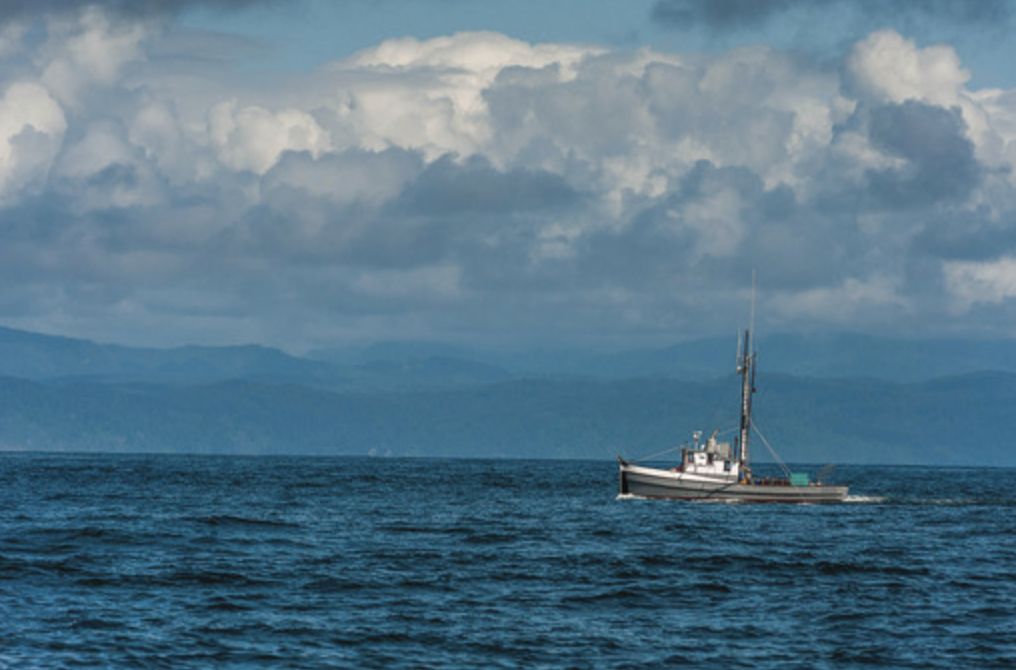 Temperature of world’s oceans highest ever recorded