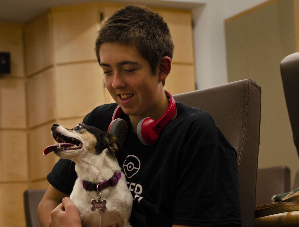 Researchers find dogs are paying attention