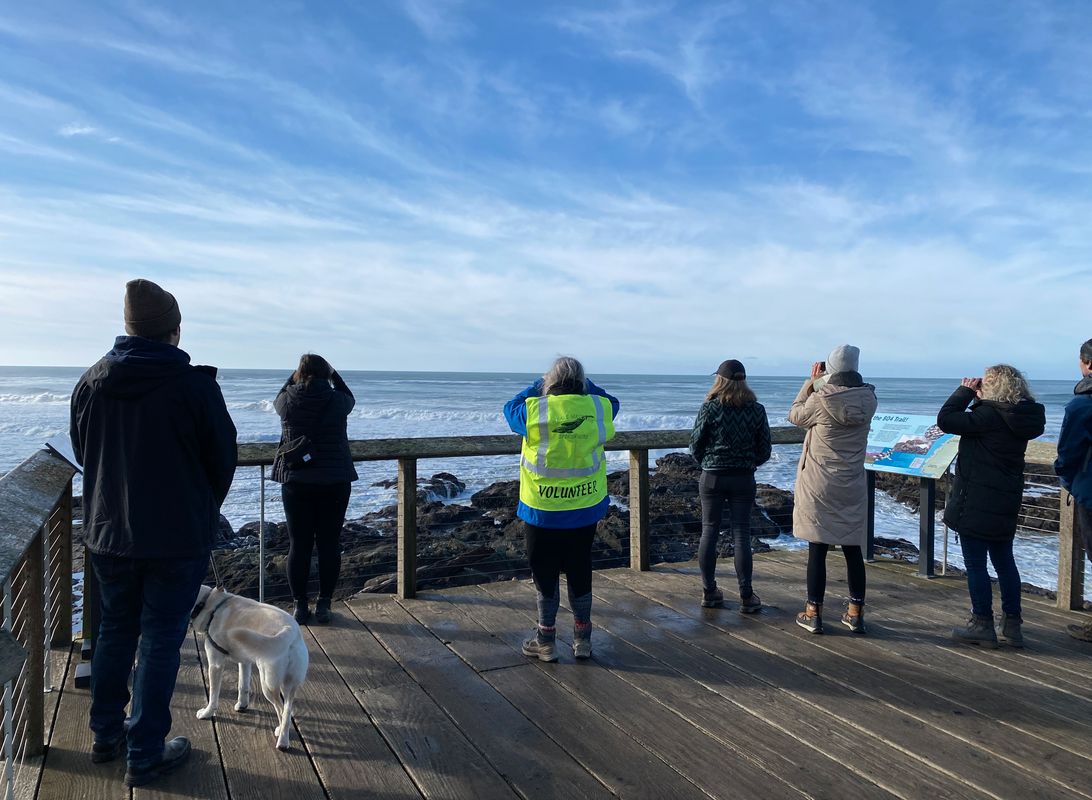 Spring Whale Watching Week returns along the Oregon Coast