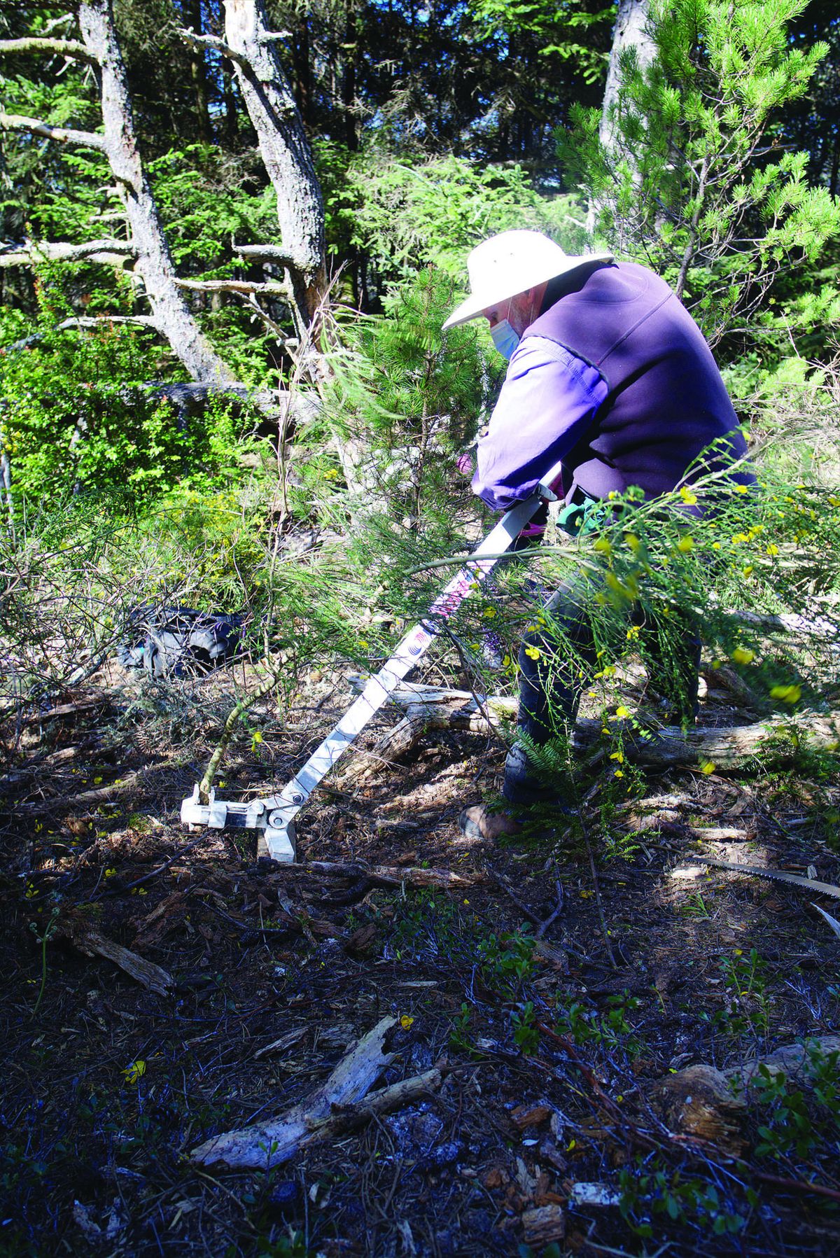 Tolowa Dunes fights back