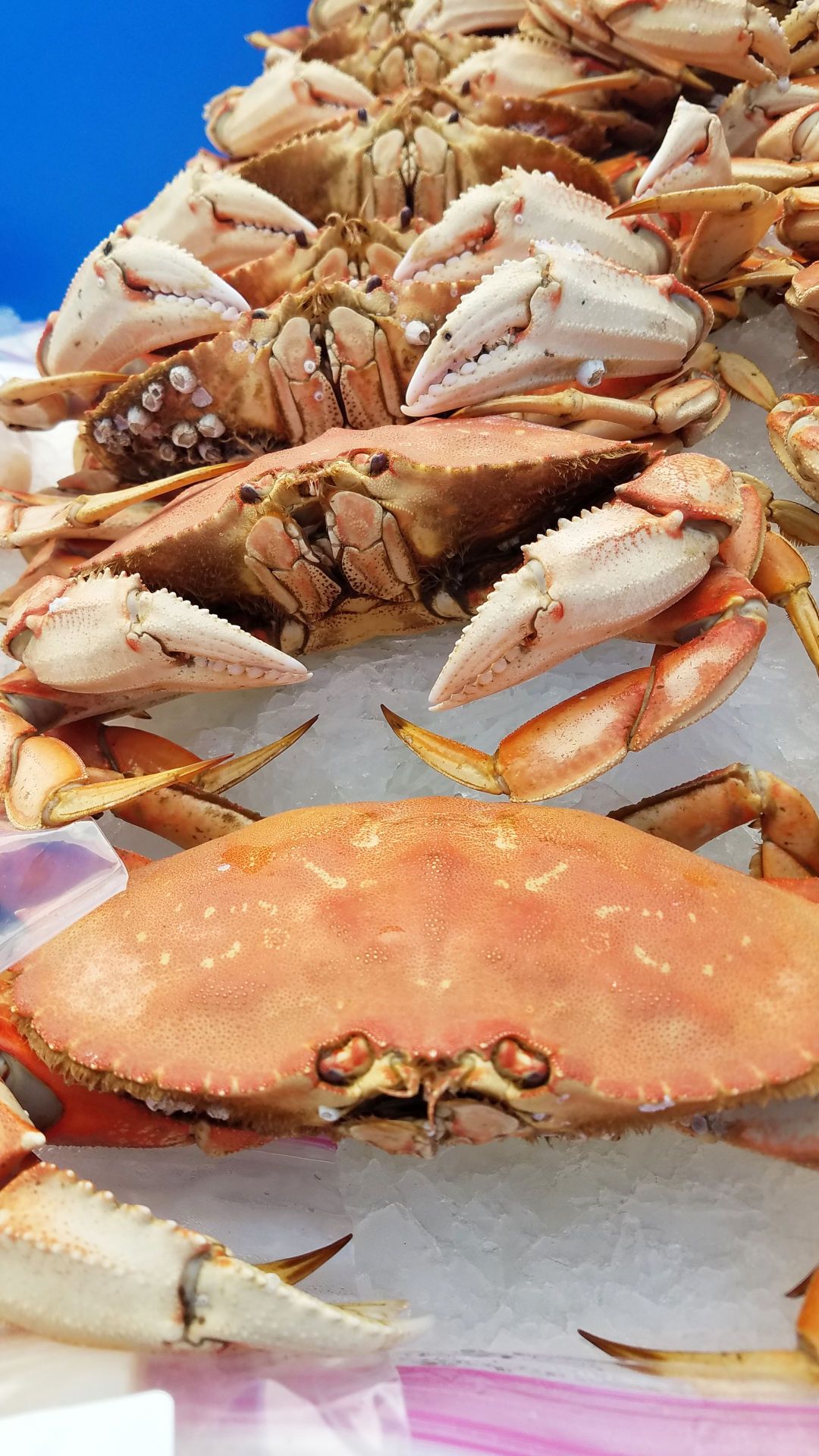 Buying local seafood promotes human rights