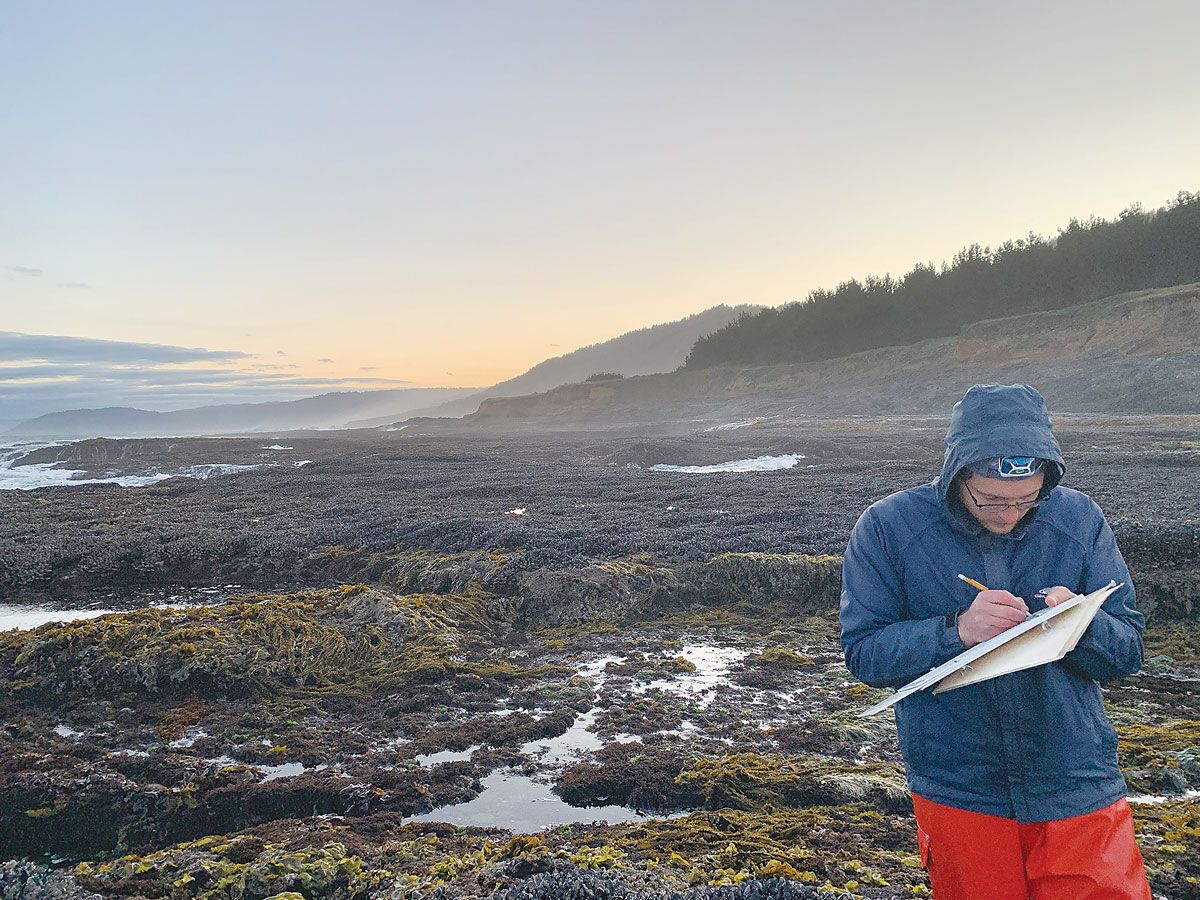 Rocky shores of Pacific Northwest show low resilience to changes in climate, research shows