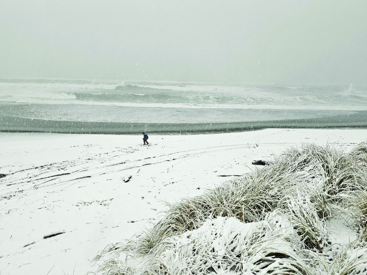 Local photographers capture the beauty of our recent snowfall
