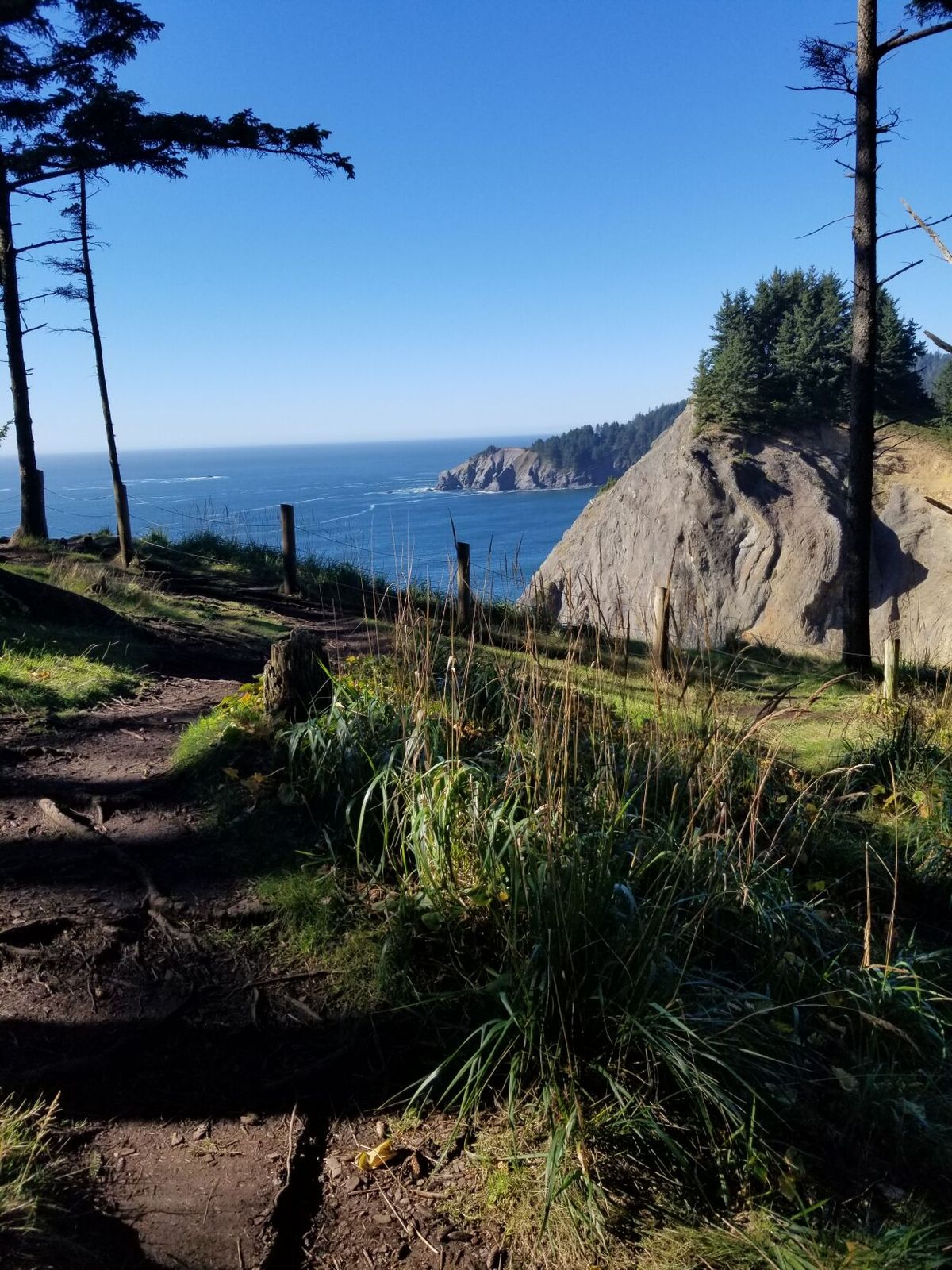 Man falls to death from cliff into ocean after branch breaks