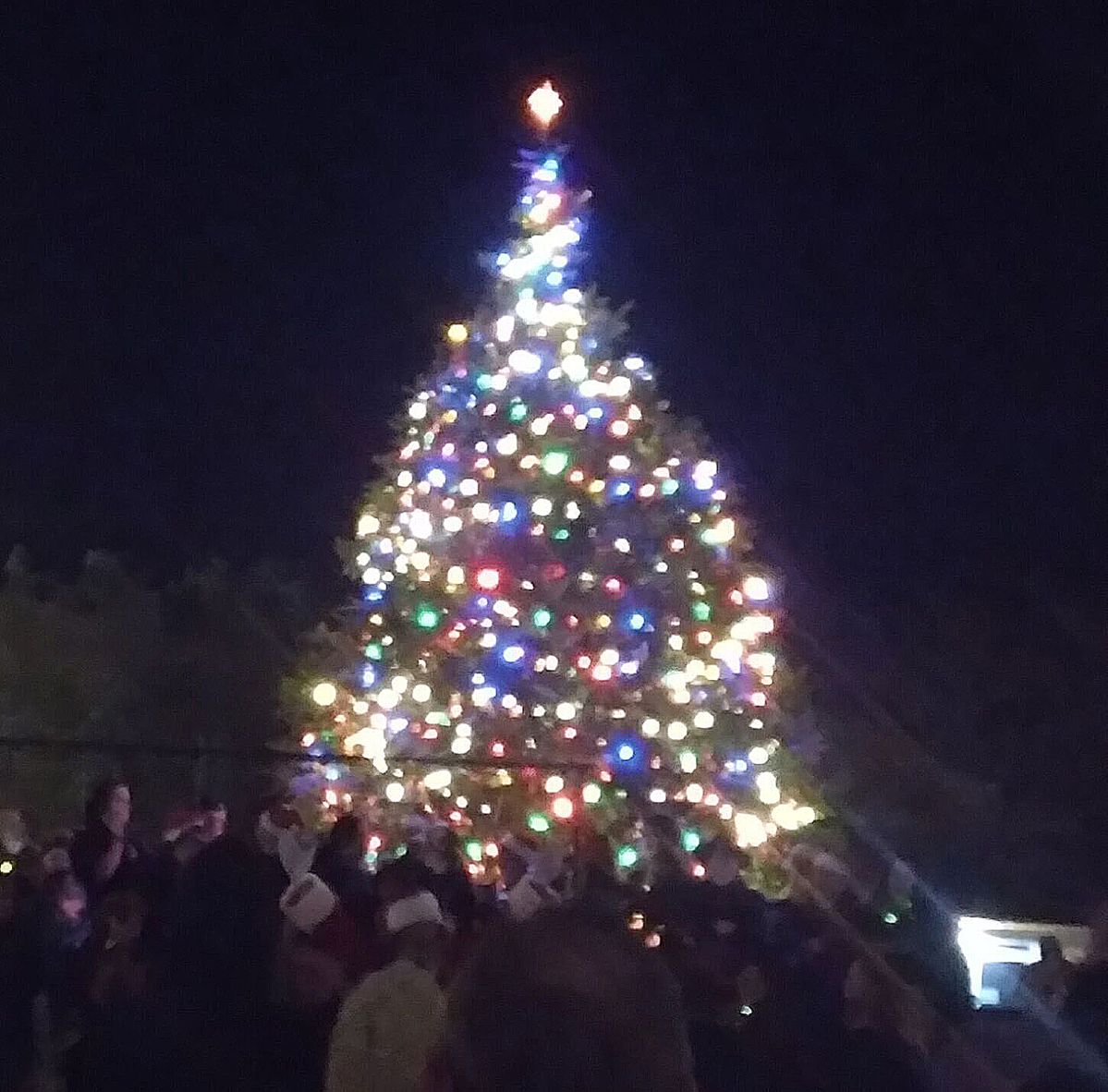 Photos: Annual Crescent City Christmas Light Parade and Tree Lighting