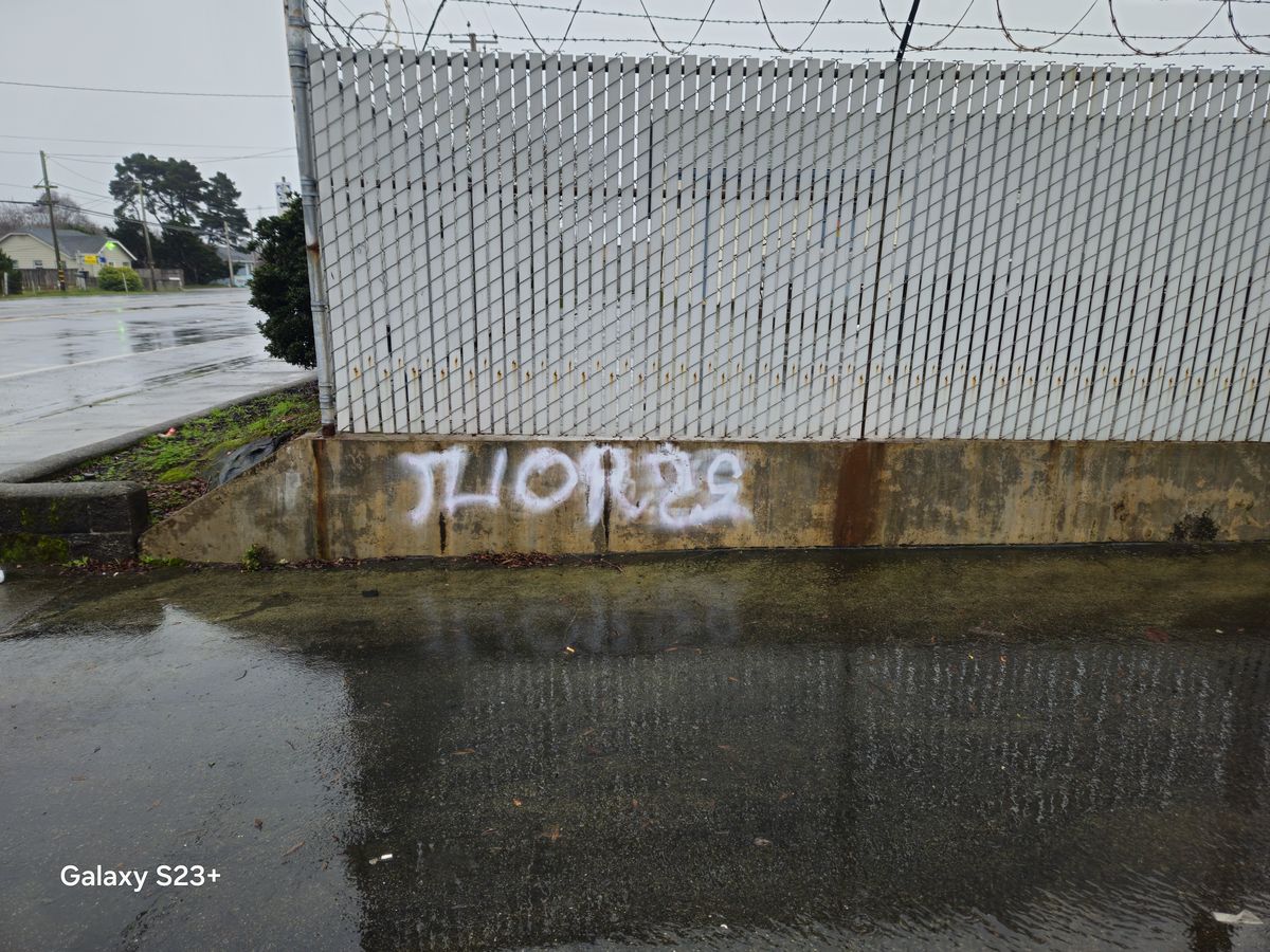 Graffiti Corner: Community responds, recognizes and reports ugly vandalism