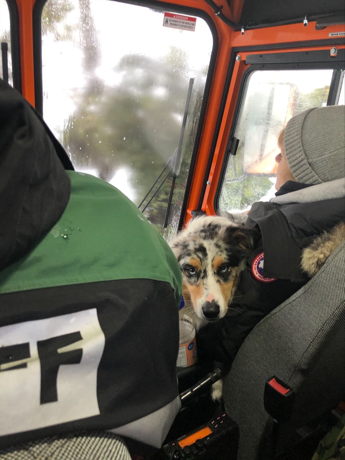 Curry County deputies help with several rescues