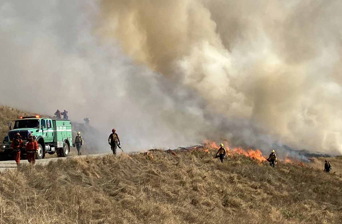 Parks plan full prescribed fire activities in Bald Hills