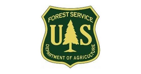 Forest Service takes critical old-growth steps, kickstarts update to Northwest Forest Plan
