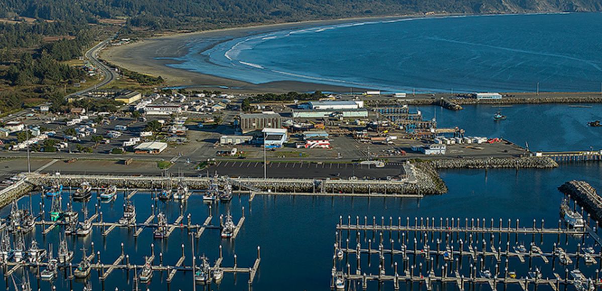 Harbor responds to debt dilemma