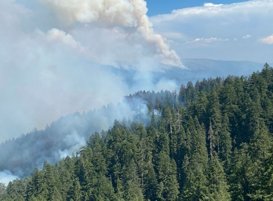 Wildfire Update: South Fork Complex