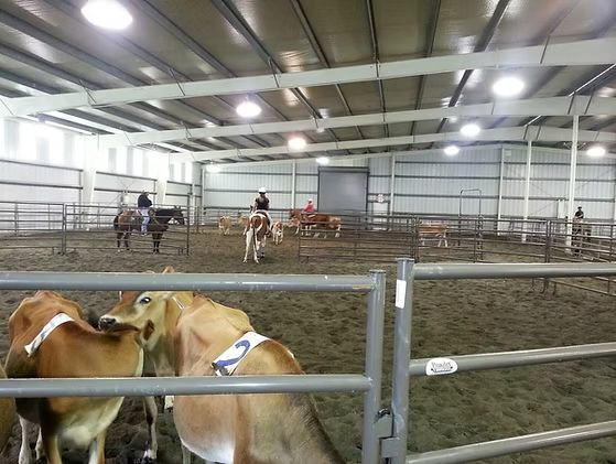 Community Members Upset with Transition of Ace Arena for Vehicle Storage
