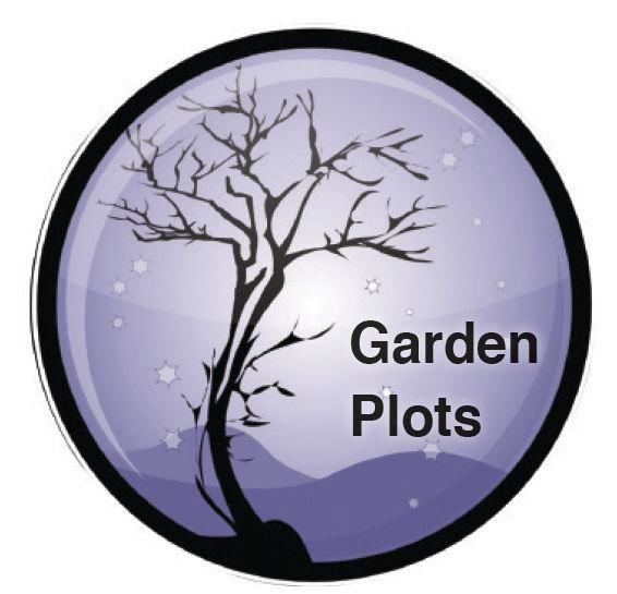 Garden Plots: When ants go marching in