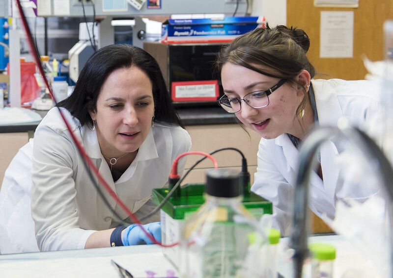Oregon State researchers identify potential new means of slowing neurodegenerative diseases