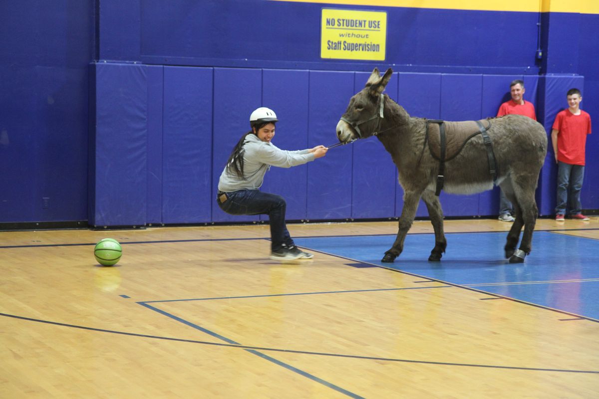 Donkey basketball fundraiser nets nearly $1,000