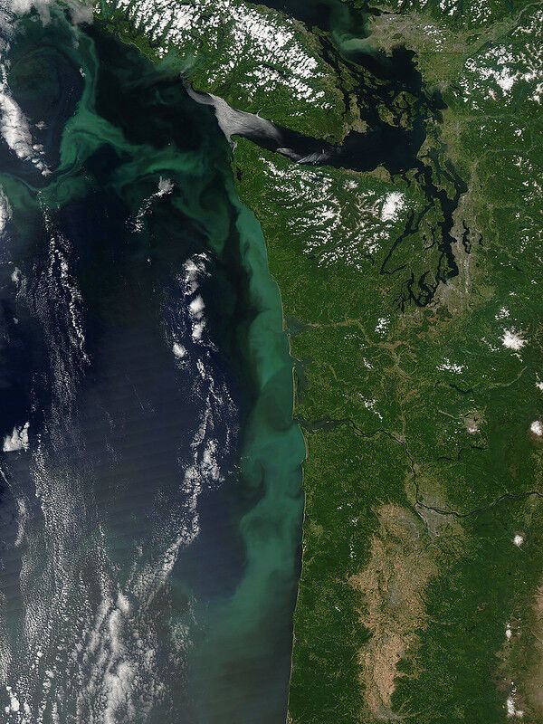 OSU microbiology research furthers understanding of ocean’s role in carbon cycling