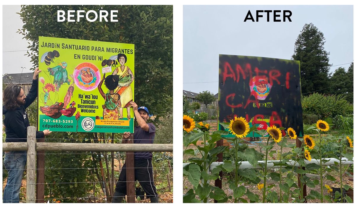 Arcata sanctuary garden vandalized in hate crime; community rallies to support immigrants