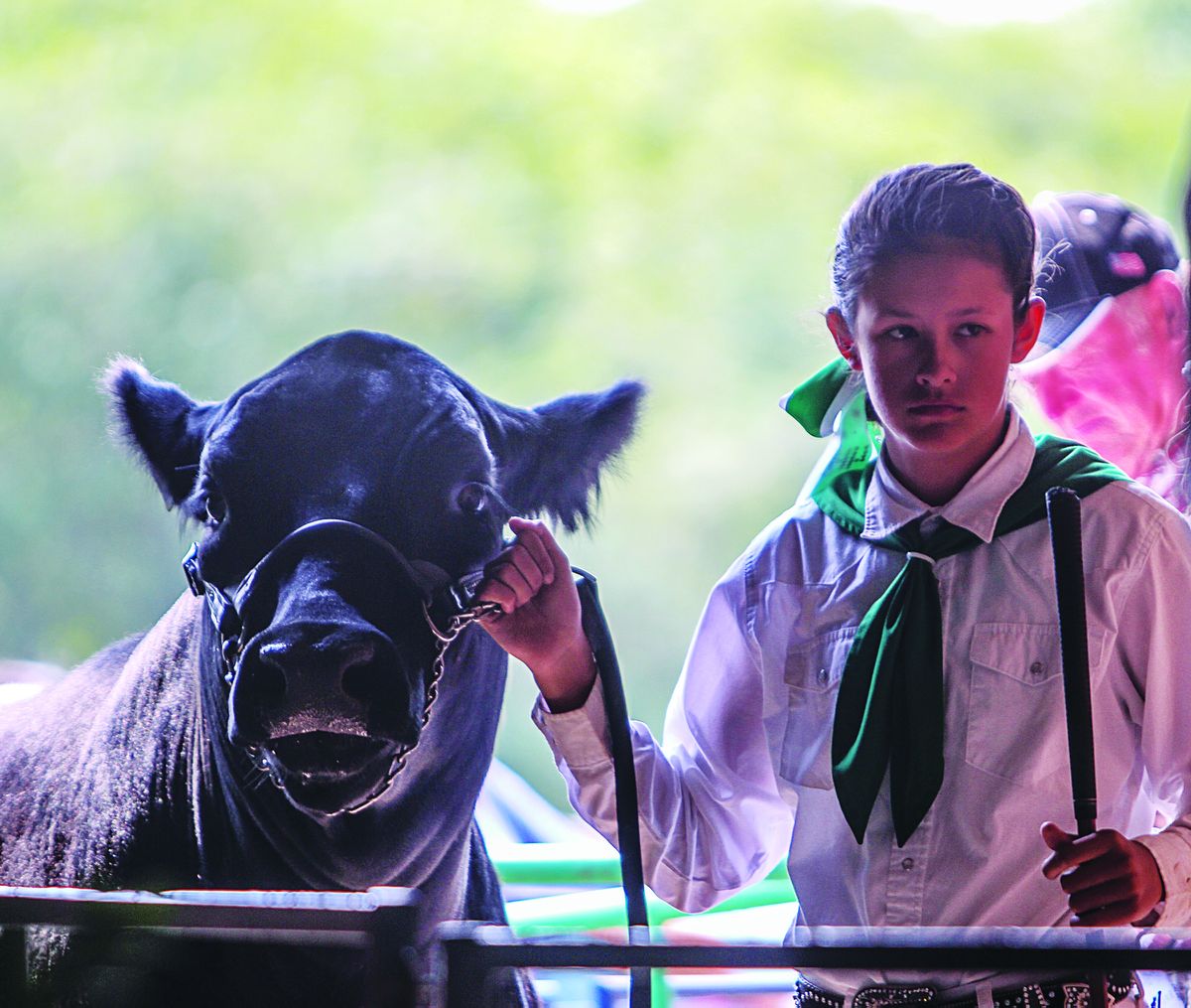 2019 Del Norte County Fair Results