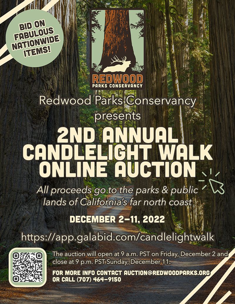 Online Auction to benefit Redwoods goes live