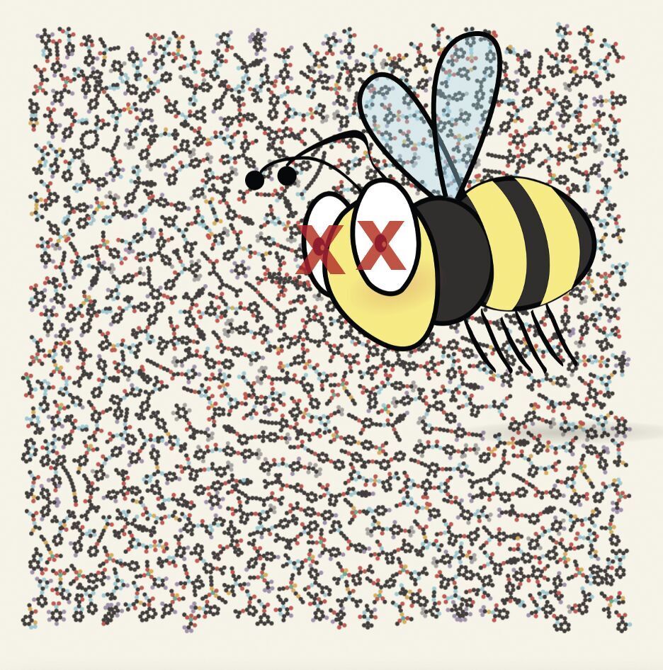 Oregon State researchers develop computer model to predict whether a pesticide will harm bees