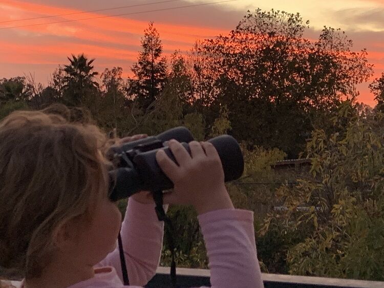 CDFW’s Nature Challenge Is Calling All California Families This Summer
