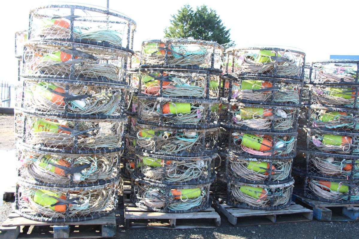 California commercial Dungeness crab fishing season delayed