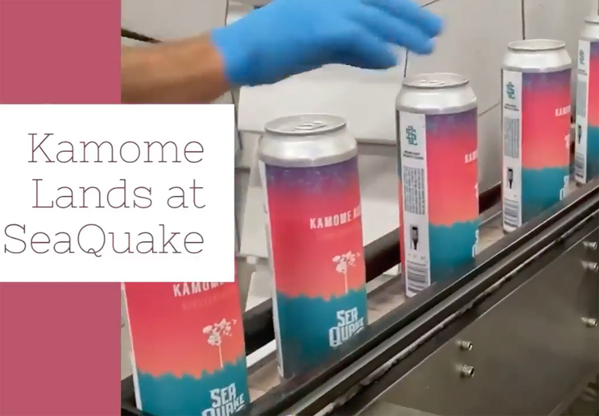 Kamome Ale debuts as tribute to sister city in Japan