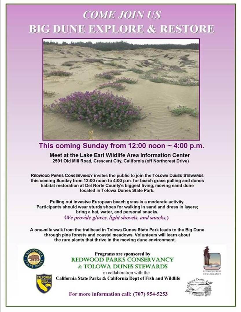 Big Dune Explore and Restore