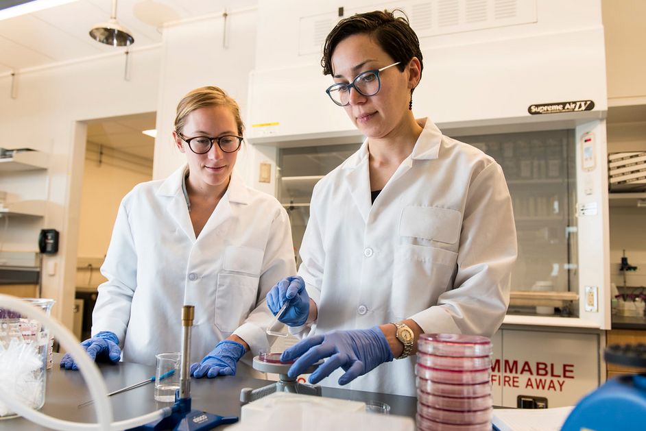 OSU researcher exploring wastewater’s role in antimicrobial resistance