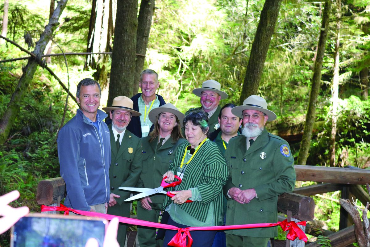 New access to largest and oldest redwoods