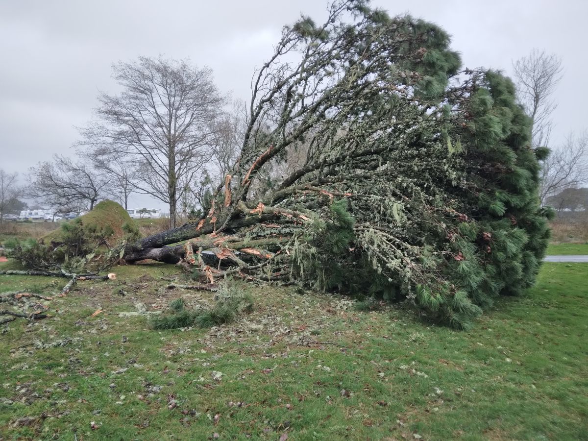 Photos: Wind gusts up to 70mph wreak havoc in Crescent City