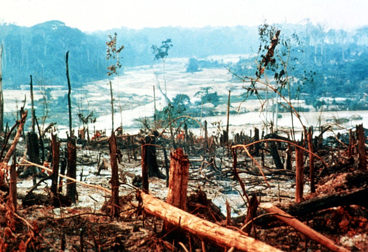 Protected areas see continued deforestation but at a reduced rate, OSU research shows