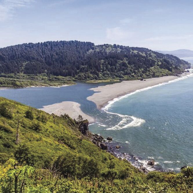 Trail alliance continues maintain local trails