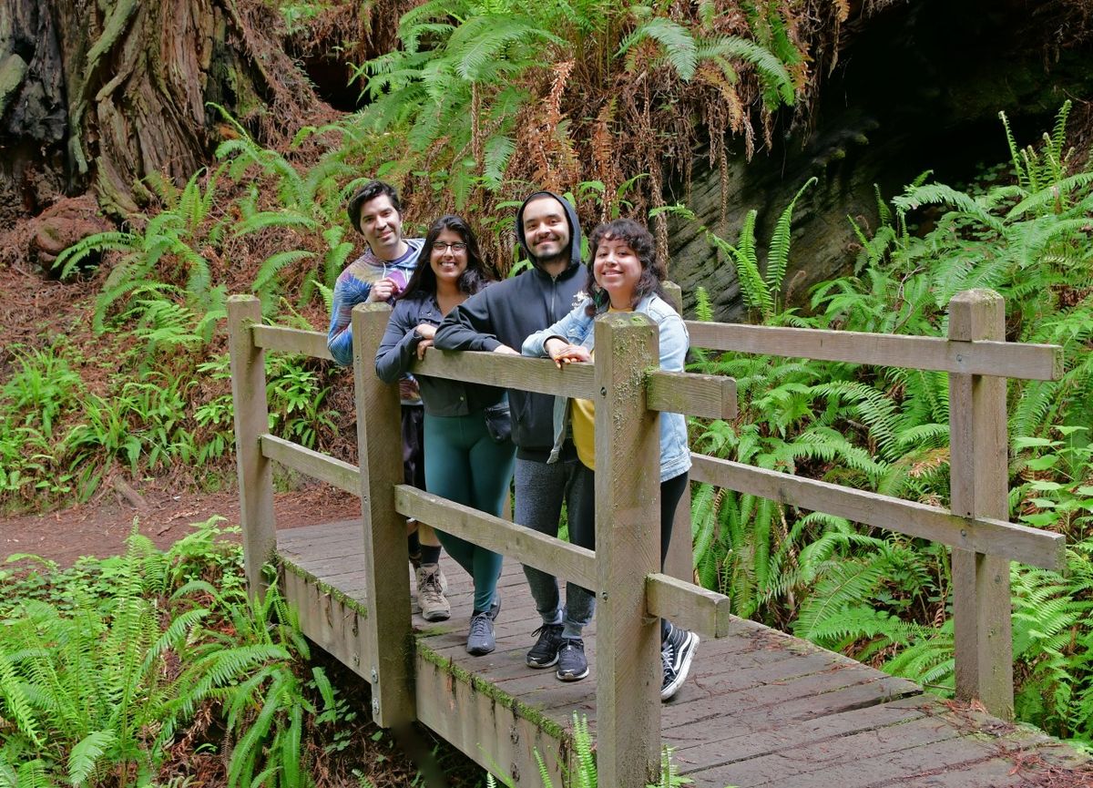 National park visitation continues to rebound from pre-pandemic levels