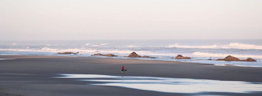 Photos: Taking care on the coast