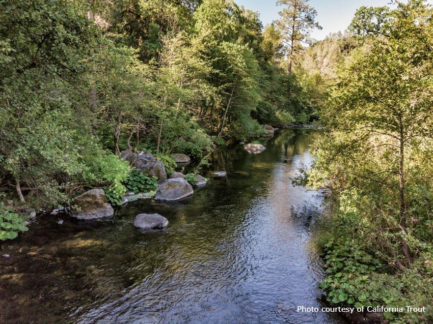 $20.4 Million in grant funding announced to protect salmon habitat and other species
